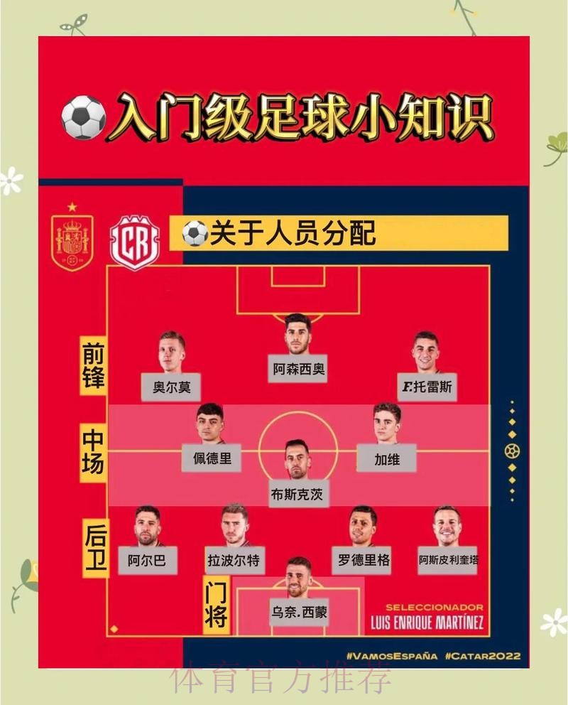 世界杯球队投注攻略指南